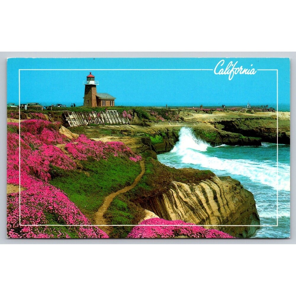 Vintage Postcard California Santa Cruz Lighthouse Pink Flowers Waves Surf c1980s
